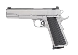 CZ DW VALOR 45ACP SS/POLY 8+1 NS
