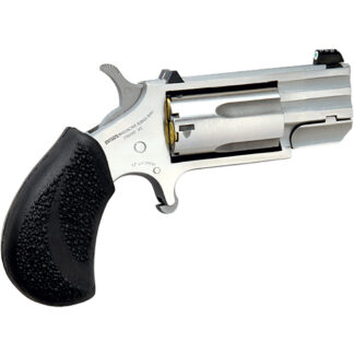 NAA Pug Revolver 22 WMR Stainless/Black 1 in. 5 rd. XS Tritium