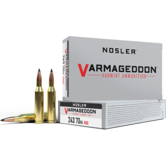 NOSLER VARMAGEDDON 243 WIN - 70GR FBT 20RD 10BX/CS