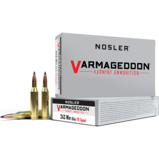 NOSLER VARMAGEDDON 243 WIN - 55GR FBT 20RD 10BX/CS