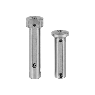ARMASPEC TI TAKEDOWN/PIVOT PINS PKG