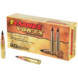 BARNES VOR-TX 300BLK 110GR TTSX FB