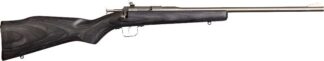 CHIPMUNK RIFLE 22LR - STAINLESS/BLACK LAMINATE
