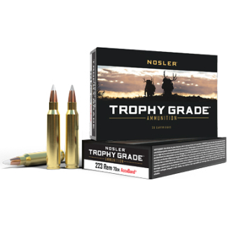 NOSLER TG 223REM 70GR AB 20/200