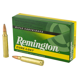 REM 300WIN 150GR PSP CL 20/200