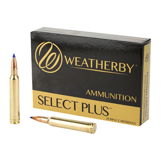 WBY AMMO 300WBY 180GR TTSX 20/200