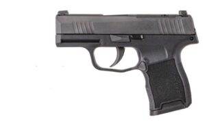 SIG SAUER P365 380ACP BLK 10+1 NS