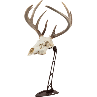 ALLEN EZ MOUNT CENTERPIECE - SKULL STAND BROWN