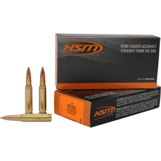 HSM SUBSONIC 308 WIN 175GR - BTHP MATCH KING 20RD 10BX/CS