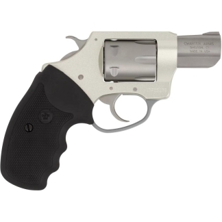 CHA PATHFINDER 22LR 2" SS