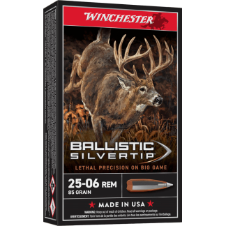 WINCHESTER BALLISTIC SILVERTIP 25-06REM 85GR 20RD BX 200RD CASE
