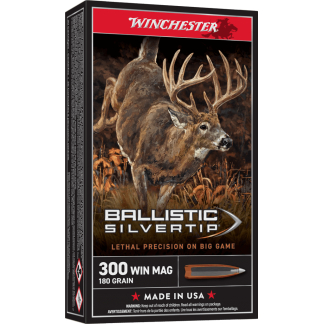 300 WIN MAG 180GR SLVRTP 20RD BOX