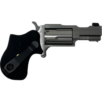 NORTH AMERICAN ARMS 22MAG 1-5/8" RULE 1 SS XS SGHT