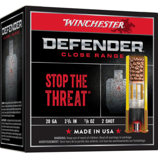 WINCHESTER DEFENDER 20GA 2.75" - 7/8OZ #2 25RD 10BX/CS