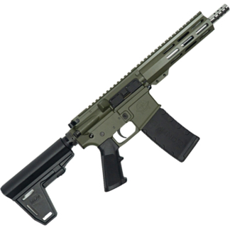 223WYLDE PSTL W/BRC SS 30R ODG