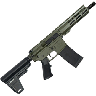 223WYLDE PSTL W/BRC 30RD ODG