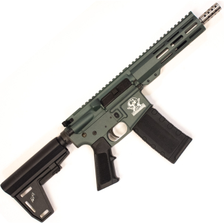 223WYLDE PSTL W/BRC SS 30R GRN