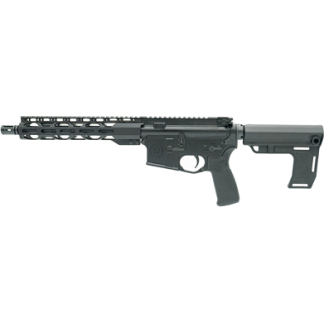 Black semi-automatic rifle with a long handguard rail, pistol grip, and adjustable buttstock.