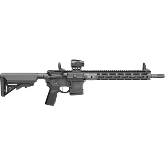 AR-15 style rifle with adjustable stock, rail handguard, and mounted optic (long-barreled tactical firearm)