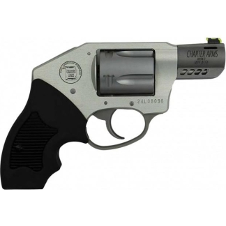 Silver compact revolver with a black textured grip and short barrel on a white background (side view)