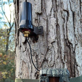 Camouflaged trail camera mounted on a tree trunk with a blue weatherproof component and a black power cable.