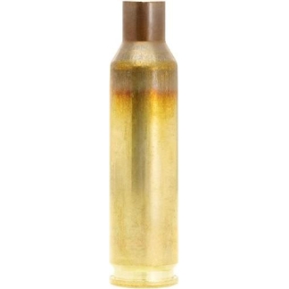 Brass rifle cartridge standing upright on a white background.