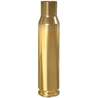 Gold-colored brass ammunition cartridge standing upright on a white background