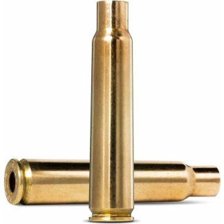Two brass cartridge casings on a white background, one standing upright and the other lying horizontally far behind it.