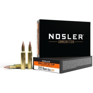 Nosler Ammunition box with two upright rifle cartridges in front and a single bullet lying down beside them.