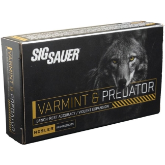 Box of SIG Sauer Varmint & Predator ammunition with a gray wolf on the front and bold yellow lettering.