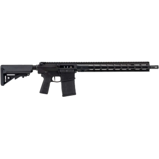 Black AR-style rifle with adjustable stock, pistol grip, quad-rail handguard, and a 30-round magazine extending from the magazine well.