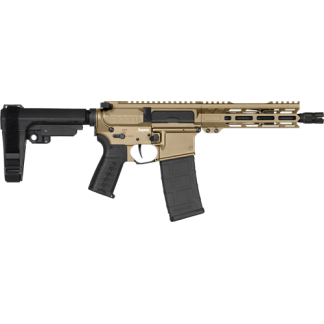 Profile view of a tan-and-black AR-style semi-automatic rifle with an adjustable stock and 30-round magazine.