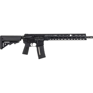 Black AR-style rifle with adjustable stock, pistol grip, and long modular handguard; magazine inserted.
