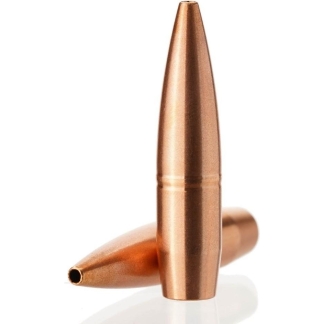 Copper-colored rifle bullets on a white background, one standing upright and another lying nearby