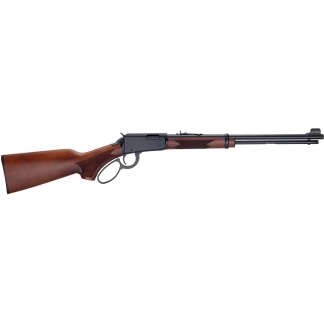 Long rifle with wooden stock and lever-action mechanism, pointing to the right with iron sights visible