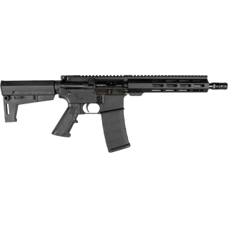 Black modern sporting rifle with adjustable stock, quad-rail handguard, and a detachable magazine.