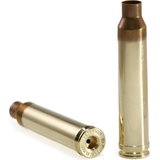 Two brass ammunition cartridges on a white background, one upright and one lying on its side with copper tips.
