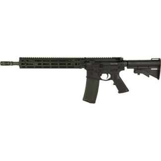 Black AR-style semi-automatic rifle with a collapsible stock and 30-round magazine.