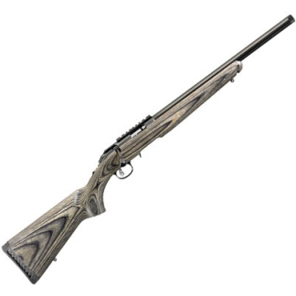 American Rimfire Target .22LR