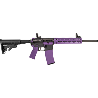 TIPPMANN M4-22 ACCENT 22LR 25RD PRP